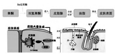 圖片1.png