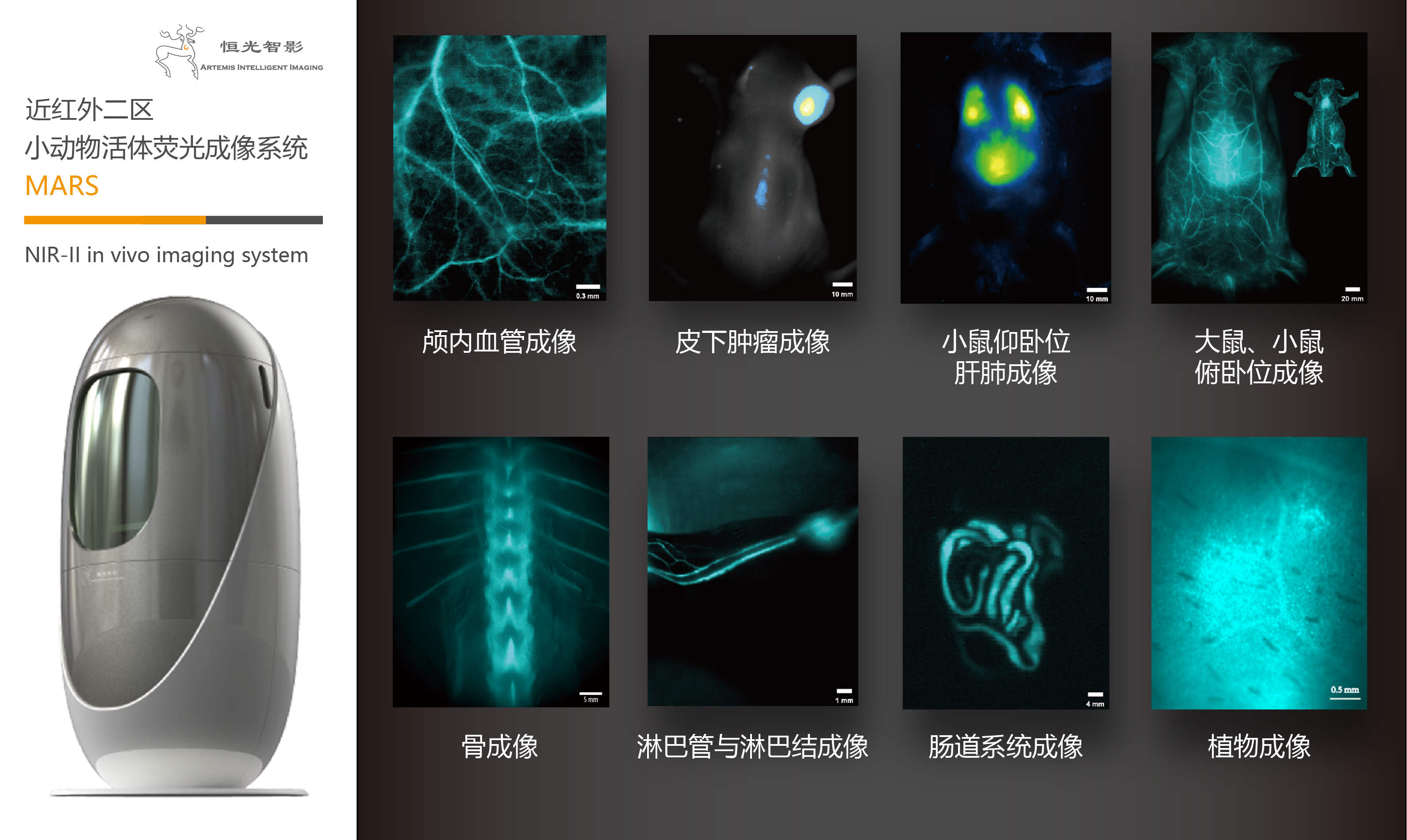 應(yīng)用圖＋產(chǎn)品new-近紅外二區(qū).png