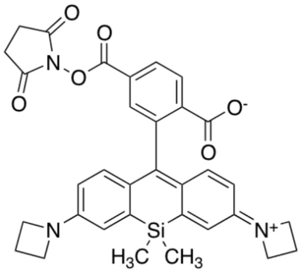 Janelia Fluor 646,SE.png