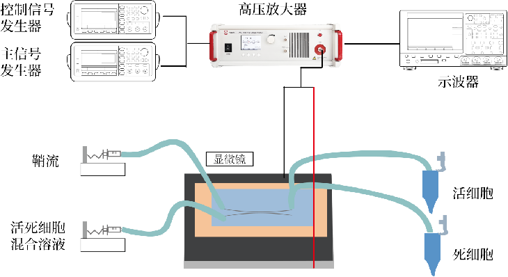 基于微井式微流控芯片的單細胞測序實驗框圖