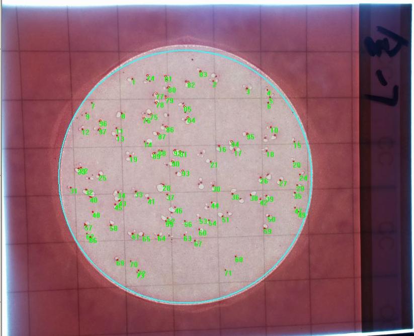 大腸計(jì)數(shù)后.JPG GB 4789.3下周實(shí)施!大腸菌群計(jì)數(shù)將有哪些新變化?