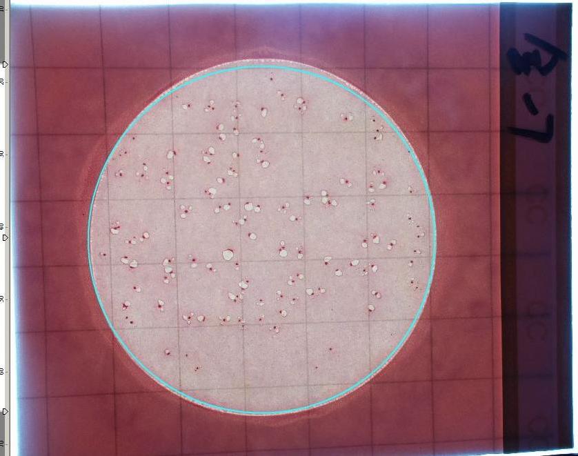 大腸計(jì)數(shù)前.JPG GB 4789.3下周實(shí)施!大腸菌群計(jì)數(shù)將有哪些新變化?