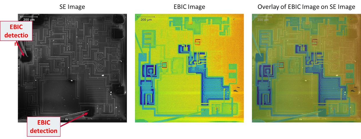 半導(dǎo)體研發(fā)卡脖子？AFM/SEM/EDS三合一顯微鏡讓納米級(jí)“病灶”顯形