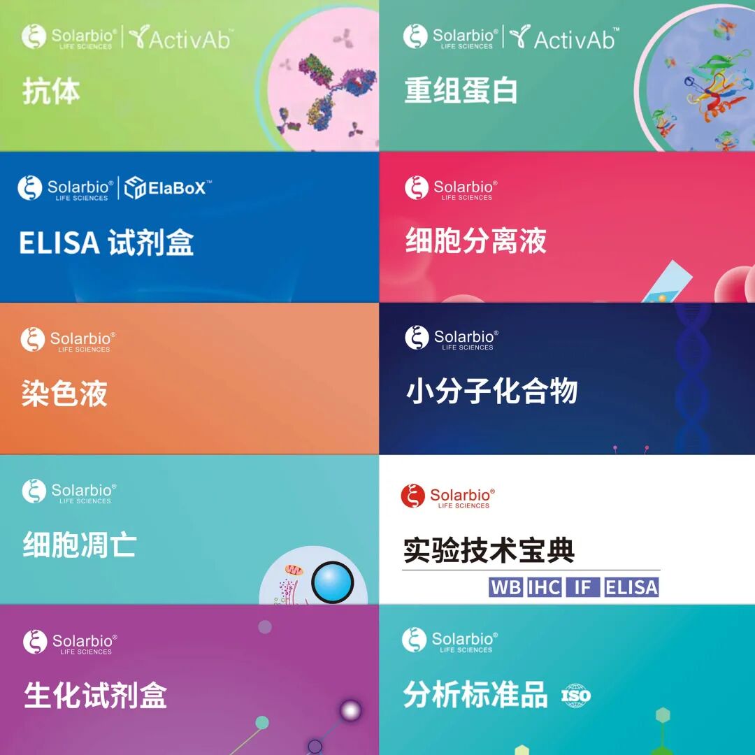 索萊寶誠邀您出席中國生物化學(xué)與分子生物學(xué)會 2025 年全國學(xué)術(shù)會議