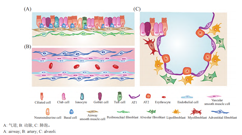 圖片2.png 圖片2.png