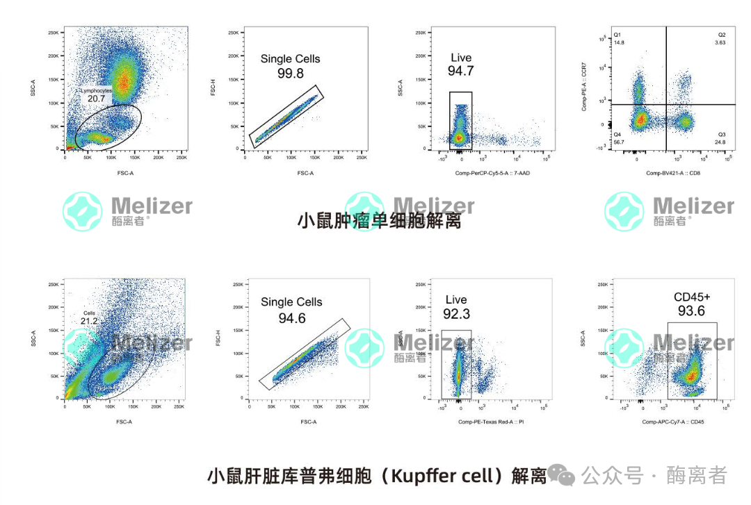 a7c84f126aa8fdd49ff9579fb272d840.png 解離酶