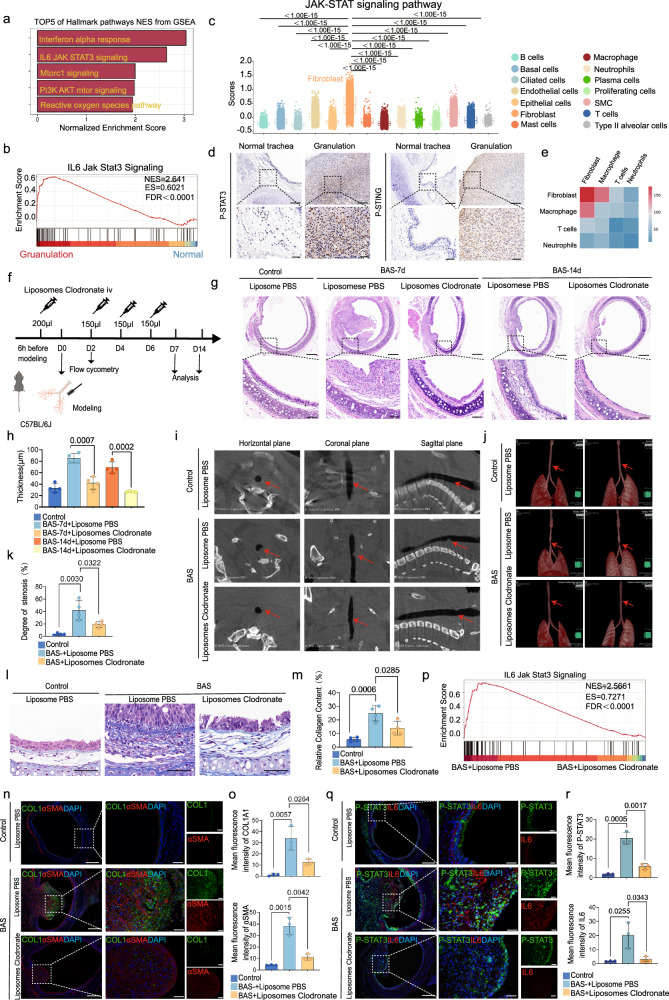 6389656460281555524942867