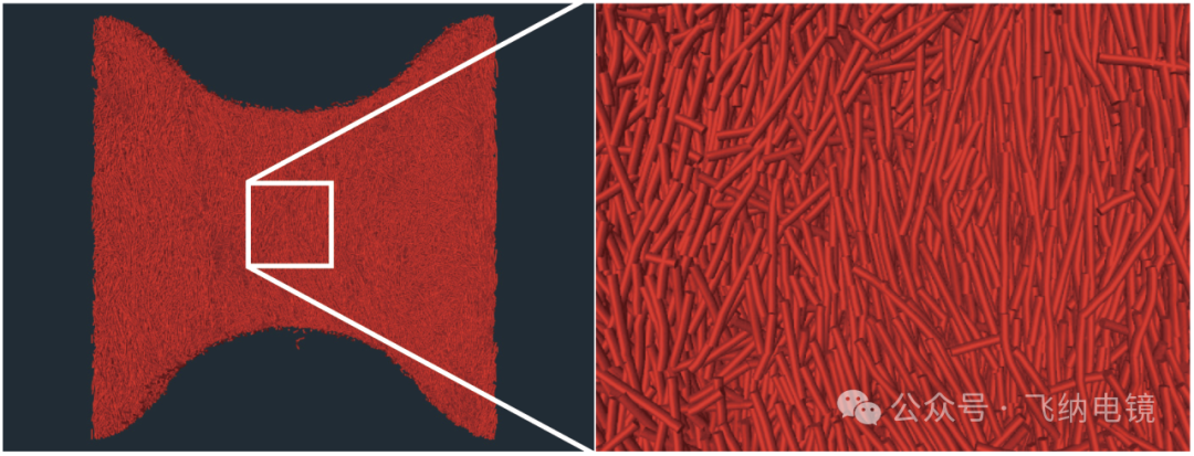 單根纖維分割與局部放大圖