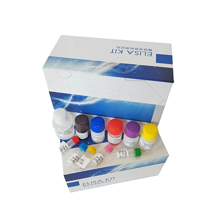 上海酶聯(lián)生物ELISA檢測(cè)試劑盒即日起優(yōu)惠火爆來(lái)襲