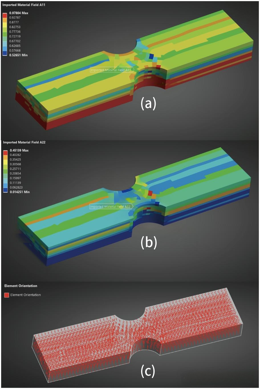 纖維取向張量映射結果
