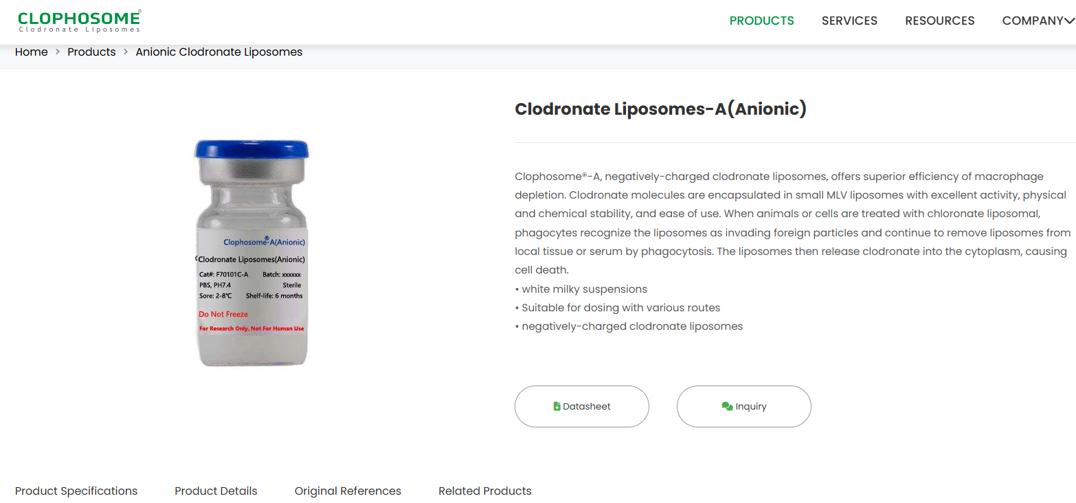 氯膦酸鹽脂質(zhì)體Clodronateliposomes清除皮膚巨細(xì)胞解決方案文獻(xiàn)參考三