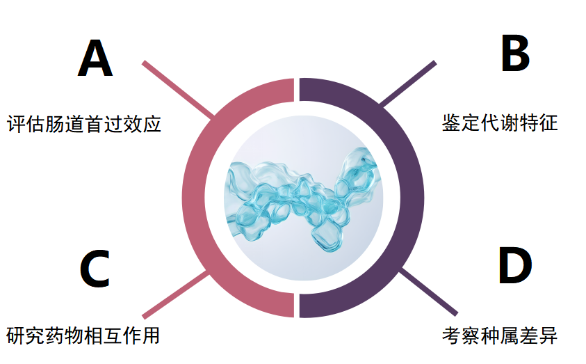 腸微粒體 1-2.png 腸微粒體 1-2.png