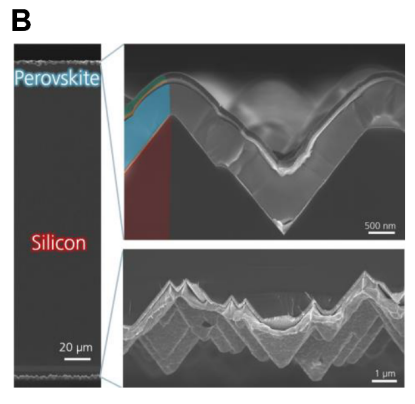 圖片3.png QFLS成像顯示PDAI均勻化 突破33.1% PCE