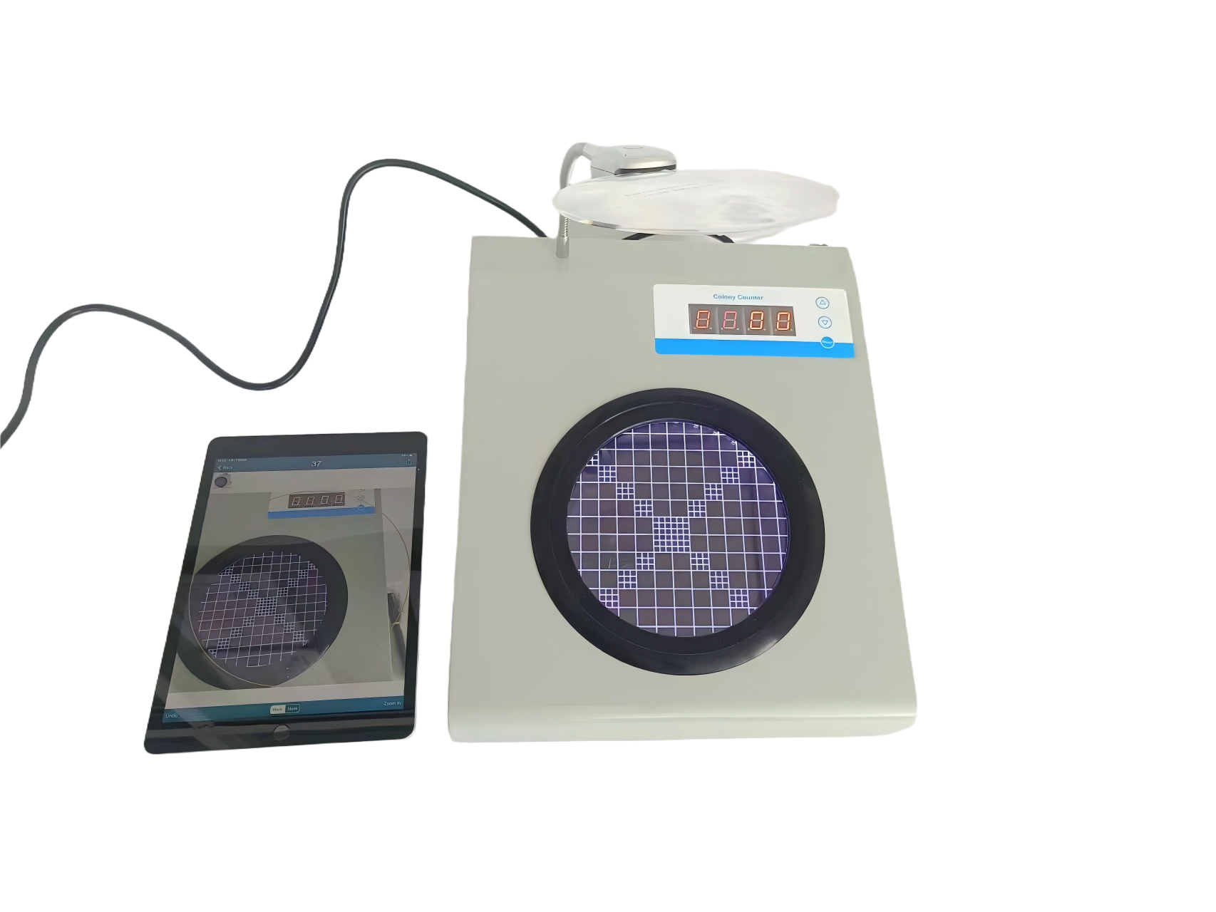 菌落計(jì)數(shù)器8(1)(1).png