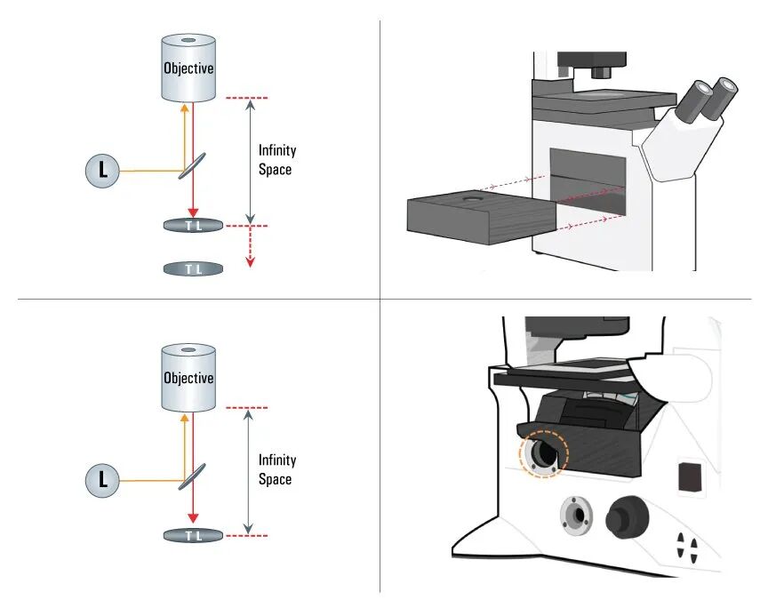 顯微課堂 | 無限遠光學系統