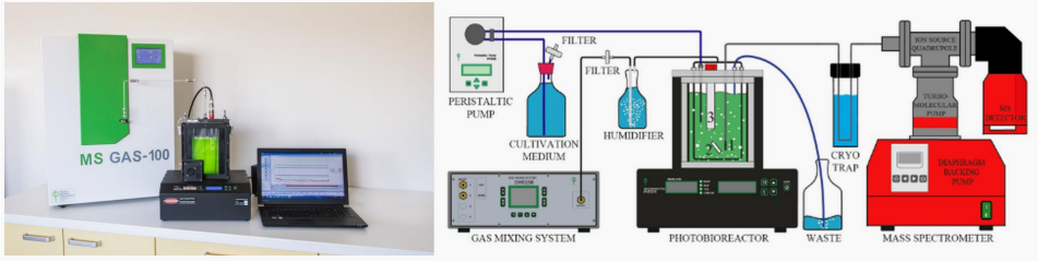先进藻类培养与在线监测系统落地水生所