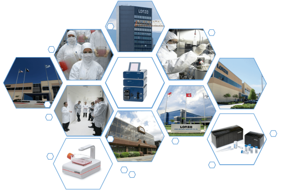 image.png LONZA人骨髓單個核細胞hBM-MNC 產品介紹