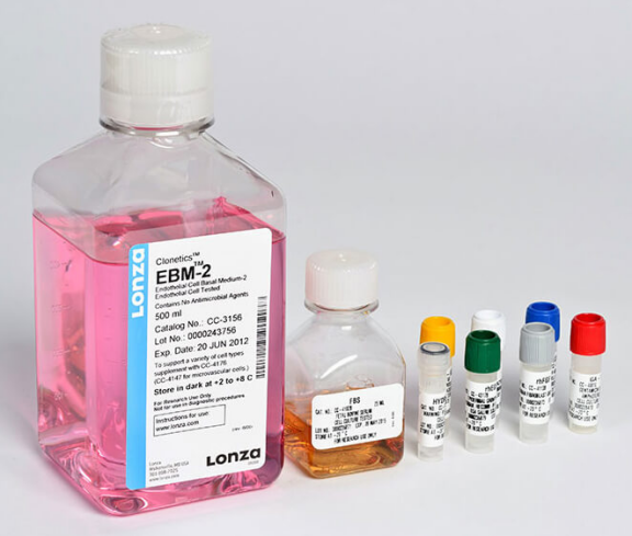 LONZA原代人肺微血管内皮细胞HMVEC-L 产品介绍