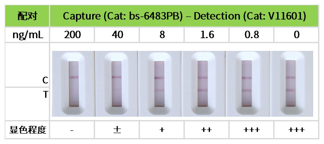 工作簿1_5.jpg 重點推薦 | 藥物小分子檢測相關配對抗體!