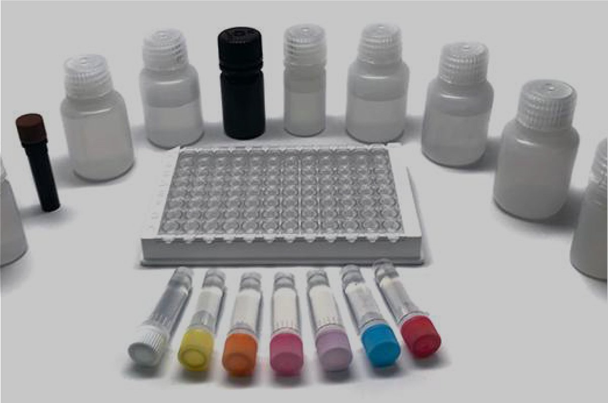 kits.jpg 美国Antibody Research Corporation代理商 2026授权代理-上海起发