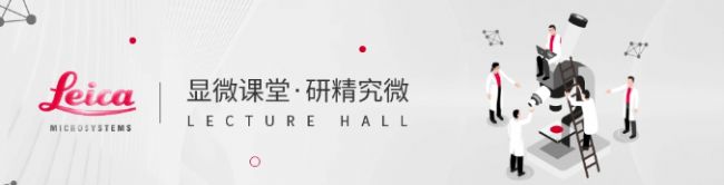 术中 OCT 辅助下的脱位性白内障继发房角闭合病例