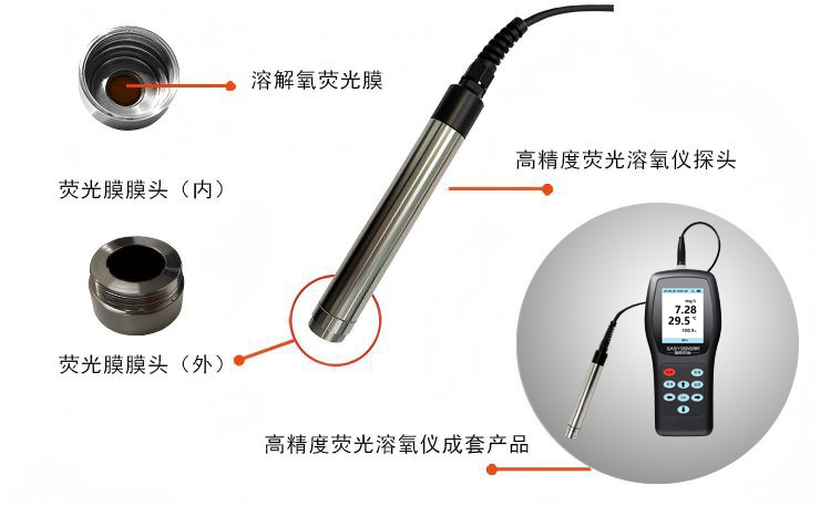 溶解氧手持仪产品组成-(1).jpg