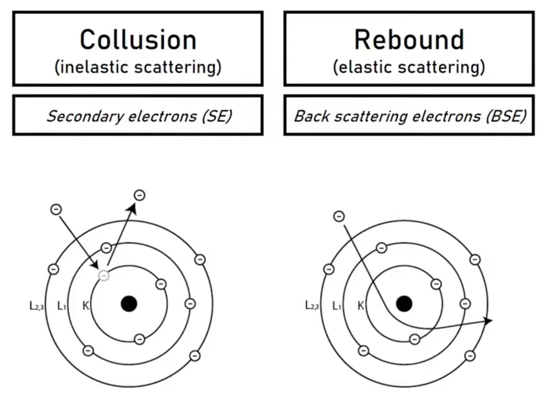 黑白之间的微观真相:扫描电镜与原位SEM如何揭示材料结构与演化