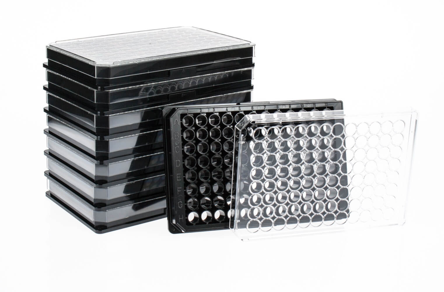 Santa Cruz Biotechnology圣克鲁斯生物代理商 2026年scbt授权代理-上海起发