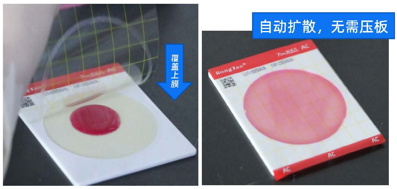 新品发布——菌落总数测试片(AC)-7cm测试片
