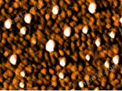 原子力超分辨熒光顯微鏡