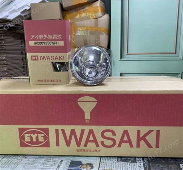 日本常備庫存EYE巖崎LEDioc 燈