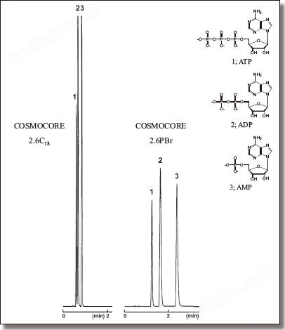 COSMOSIL 13734-71 色谱柱