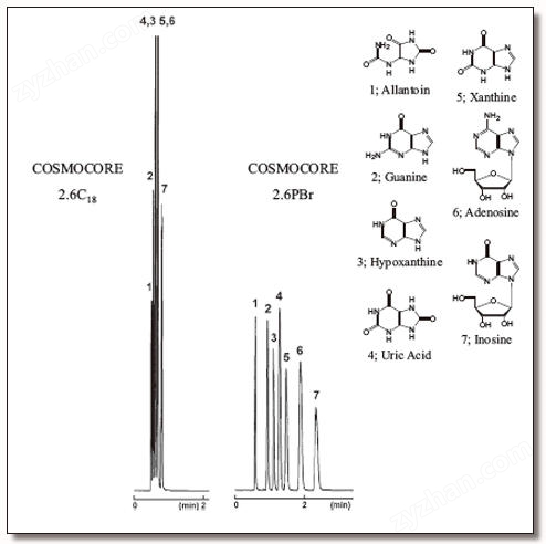 COSMOSIL 13734-71 色谱柱