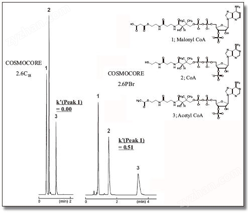 COSMOSIL 13734-71 色谱柱