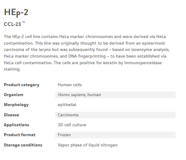 image.png 人喉表皮样癌细胞 HEp-2(hela交叉污染)